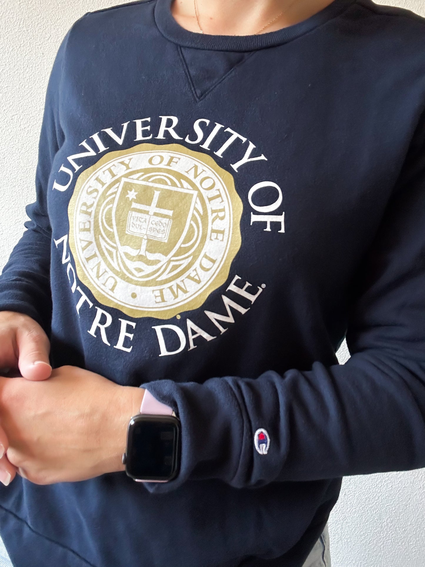 Champion sweater L