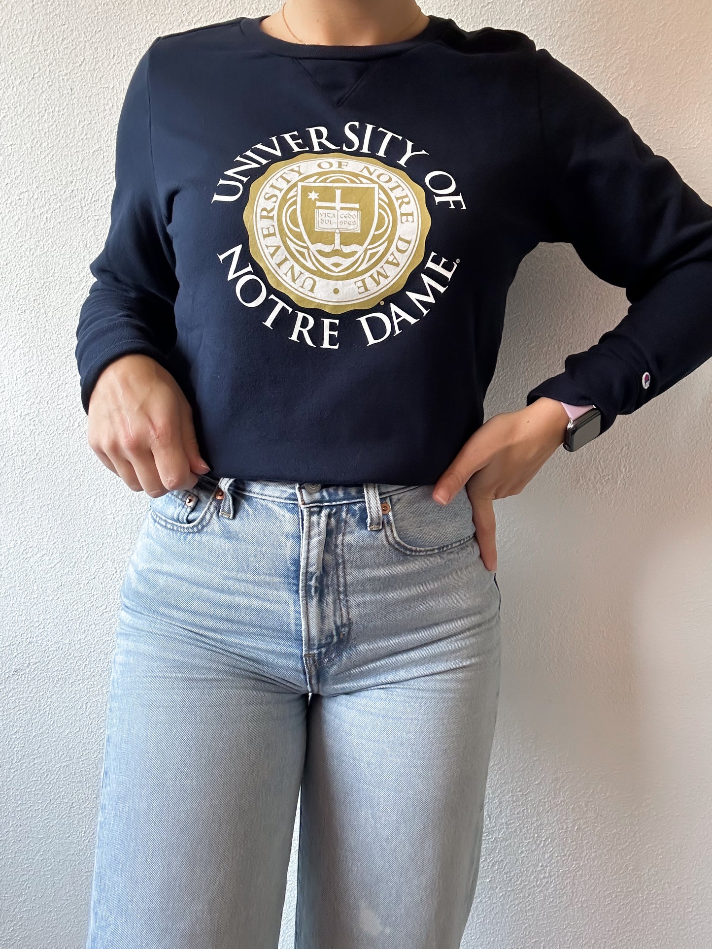Champion sweater L
